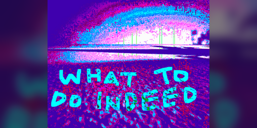 Cover image for what to do indeed