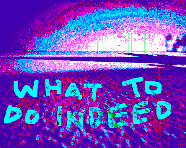 Cover image for what to do indeed