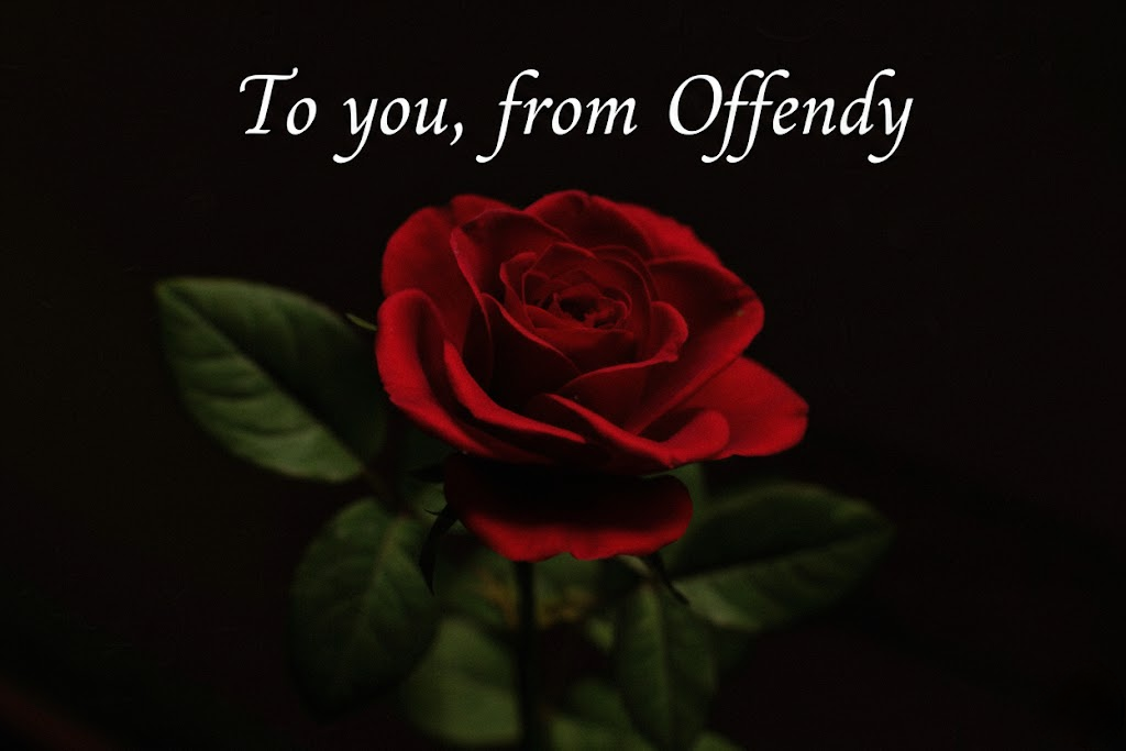 Cover image for Offendy [EXPERIMENTAL]