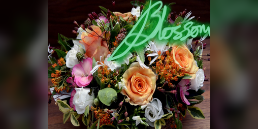 Cover image for Blossom
