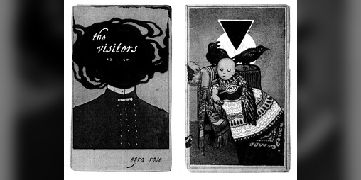 Cover image for The Visitors
