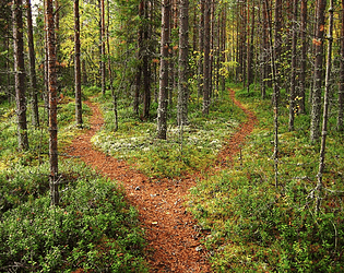 Le sentier
