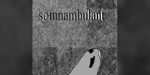 Cover image for somnambulant