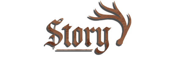 Story