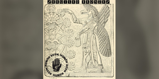 Cover image for Bruised Bronze