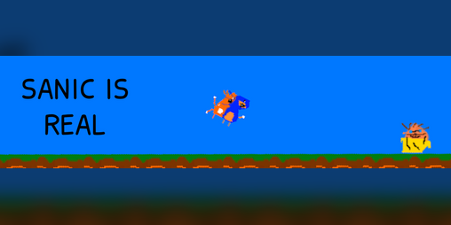 Cover image for SANIC IS REAL