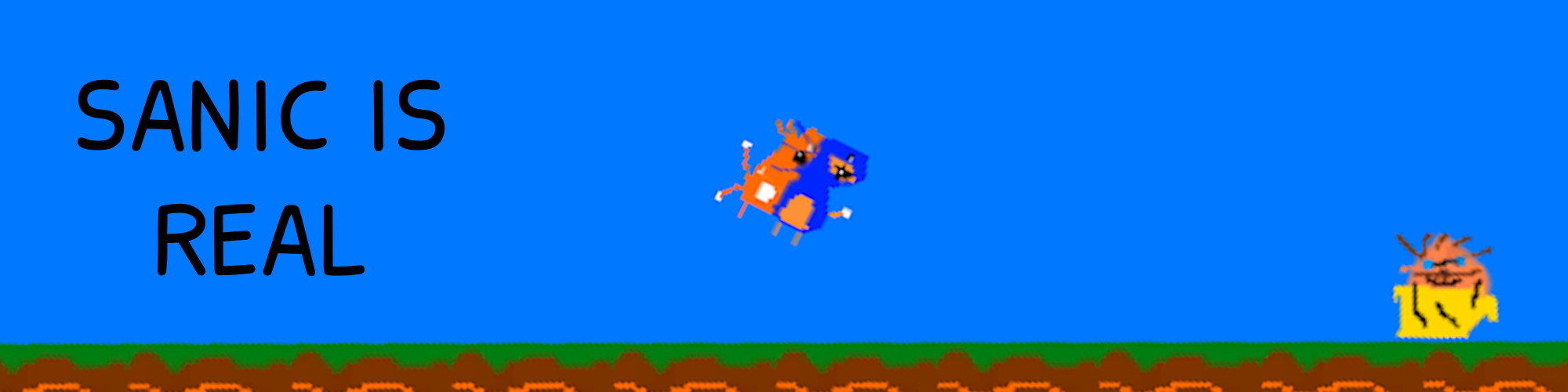 Cover image for SANIC IS REAL