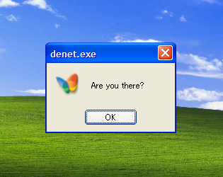 denet.exe