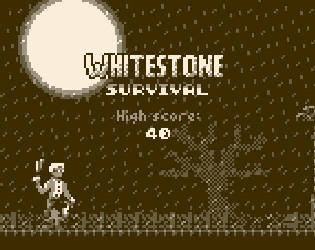 Cover image for Whitestone: Survival