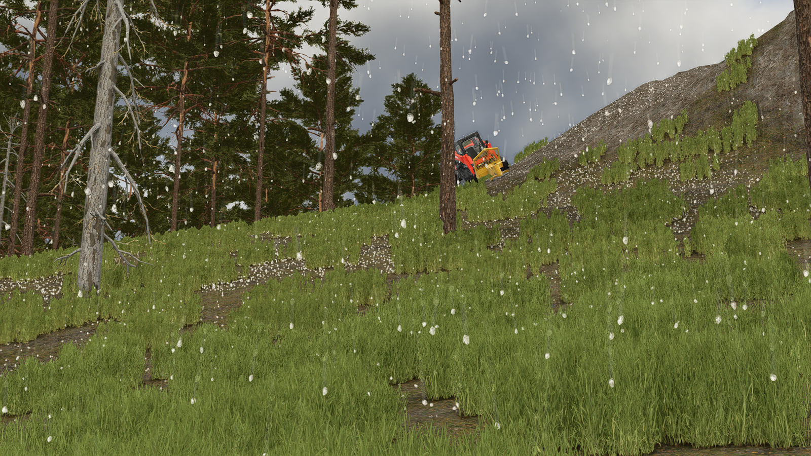 Switch Back Canyon 25