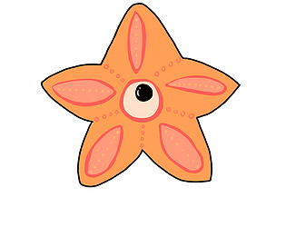 Split the Star