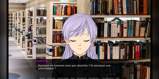 Cover image for La Bibliothèque du Jugement : l'enquête des captifs