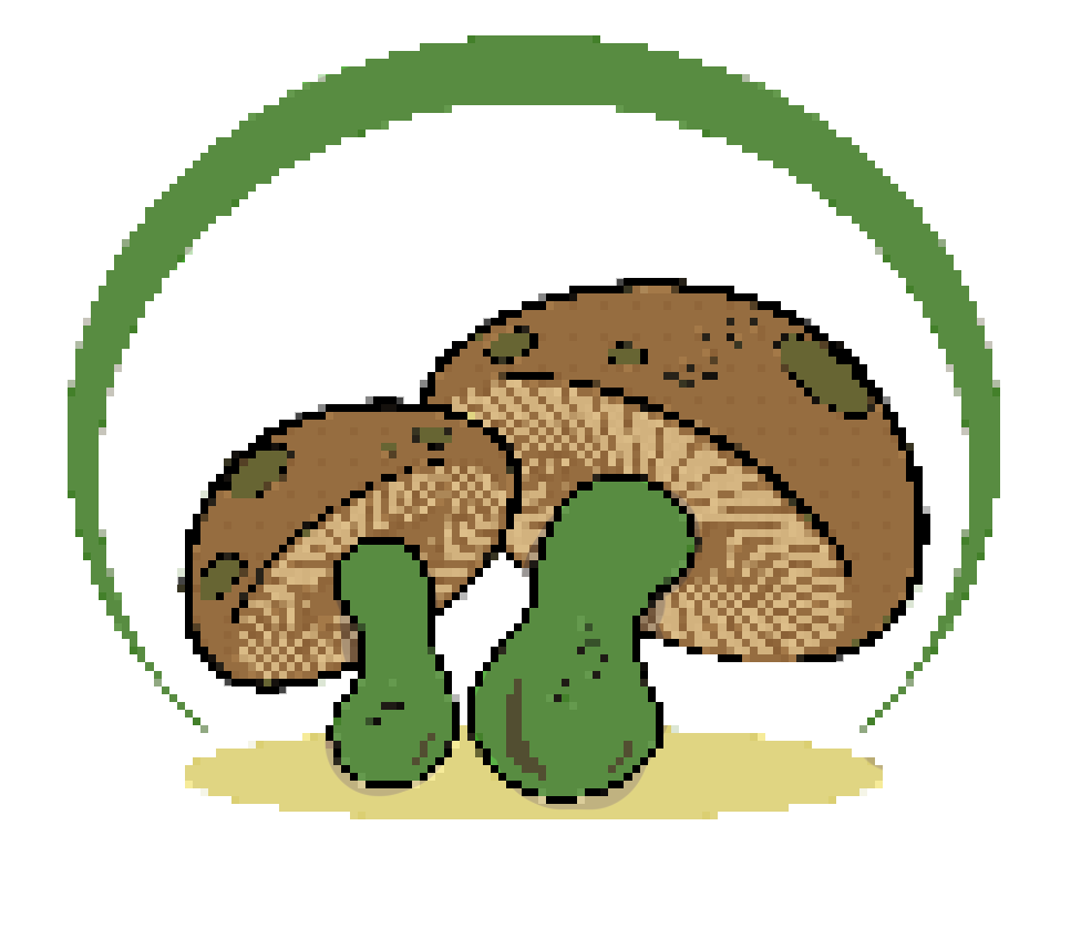 Cover image for Mycelium