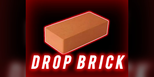 Cover image for DROP BRICK