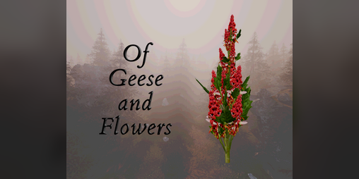 Cover image for Of Geese and Flowers