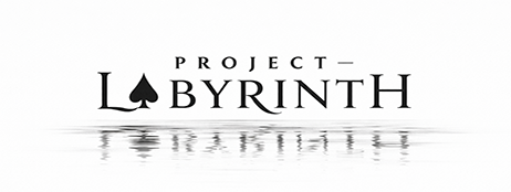 Project - Labyrinth