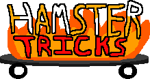 Cover image for Hamster Tricks