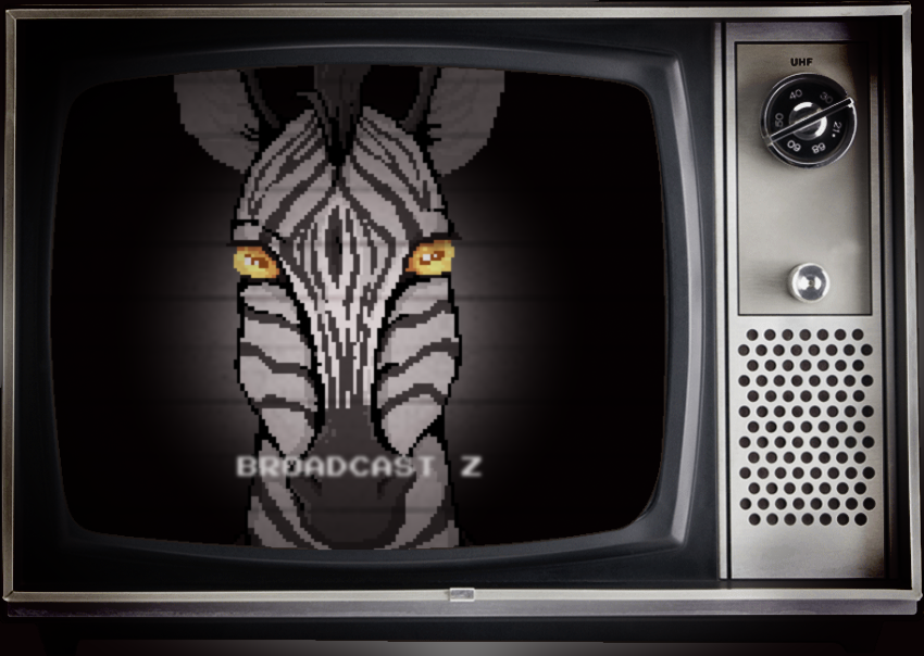 Cover image for "Broadcast Z"