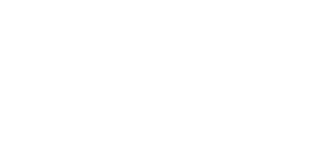 Project Archive