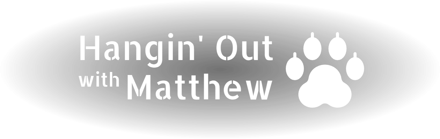 Hangin' Out with Matthew (Scripts)