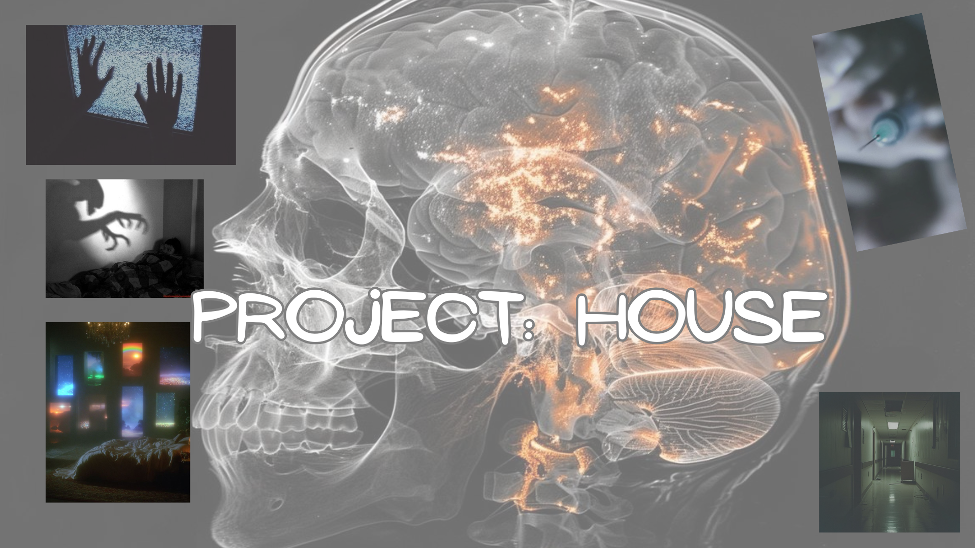 Cover image for Project: House