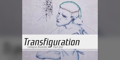 Cover image for Transfiguration