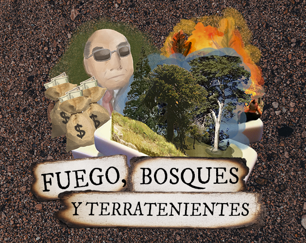 Cover image for Fuego, Bosques y Terratenientes
