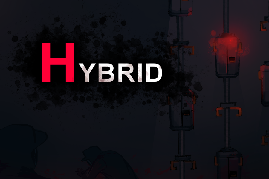 Cover image for Hybrid