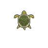 Cool Turtle Throwdown Two