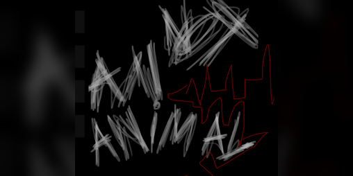 Cover image for Not an animal
