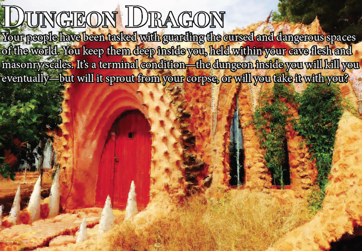Cover image for Dungeon Dragon