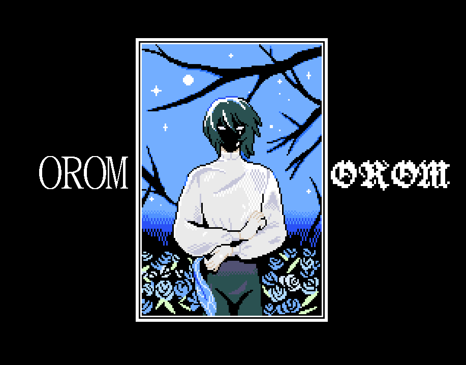 Cover image for OROM Demo