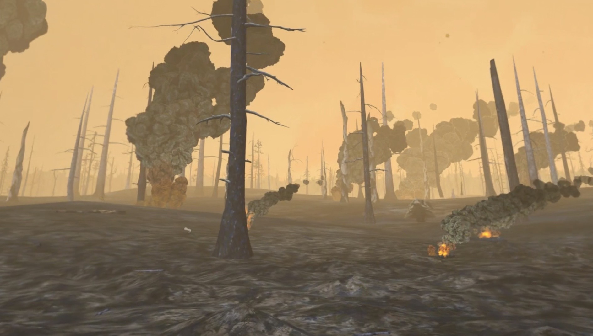 Forest Fire: Regrowth