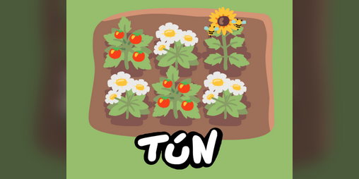 Cover image for Tún
