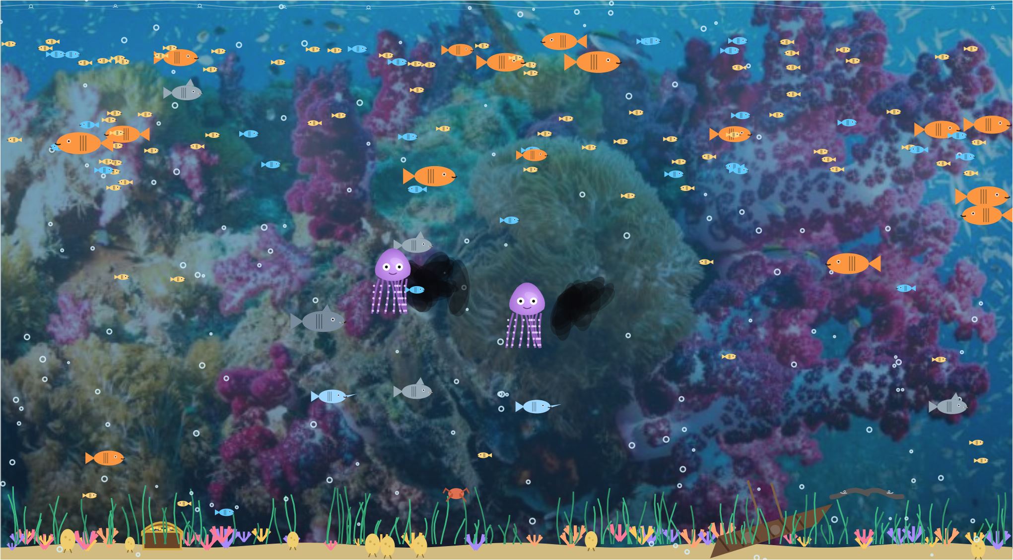 Predator Reef Aquarium