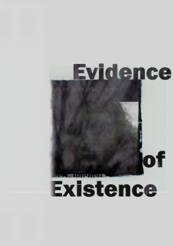 Cover image for Evidence of Existence