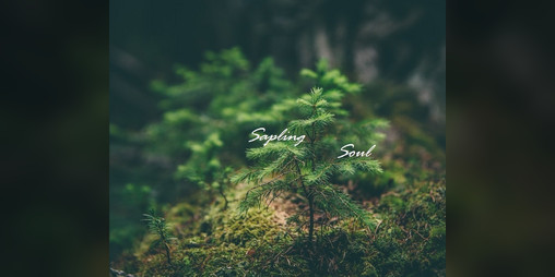 Cover image for Sapling Soul