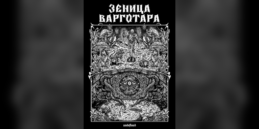 Cover image for Зеница Варготара