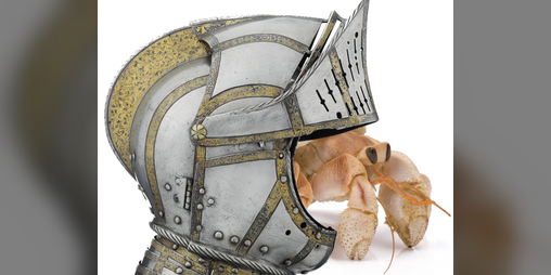 Cover image for Hermit Knight Background for Troika!