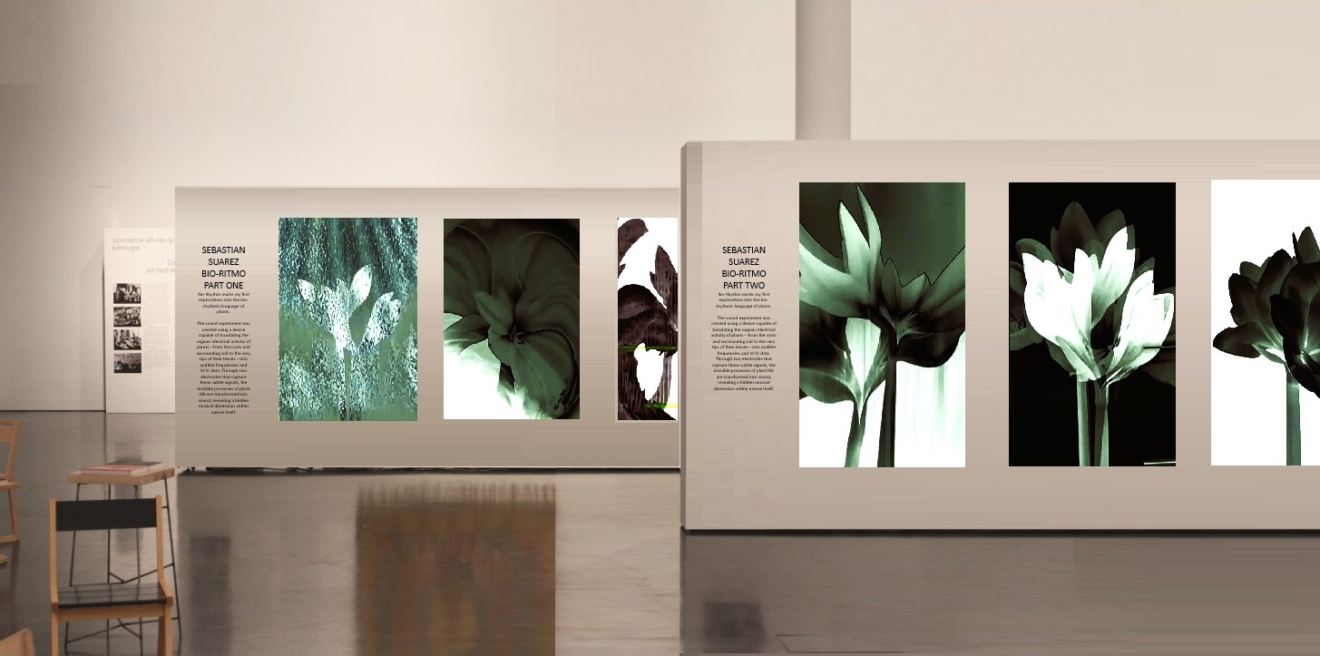 Bio Ritmo Serie Canvas Part two by Sebastian Suarez