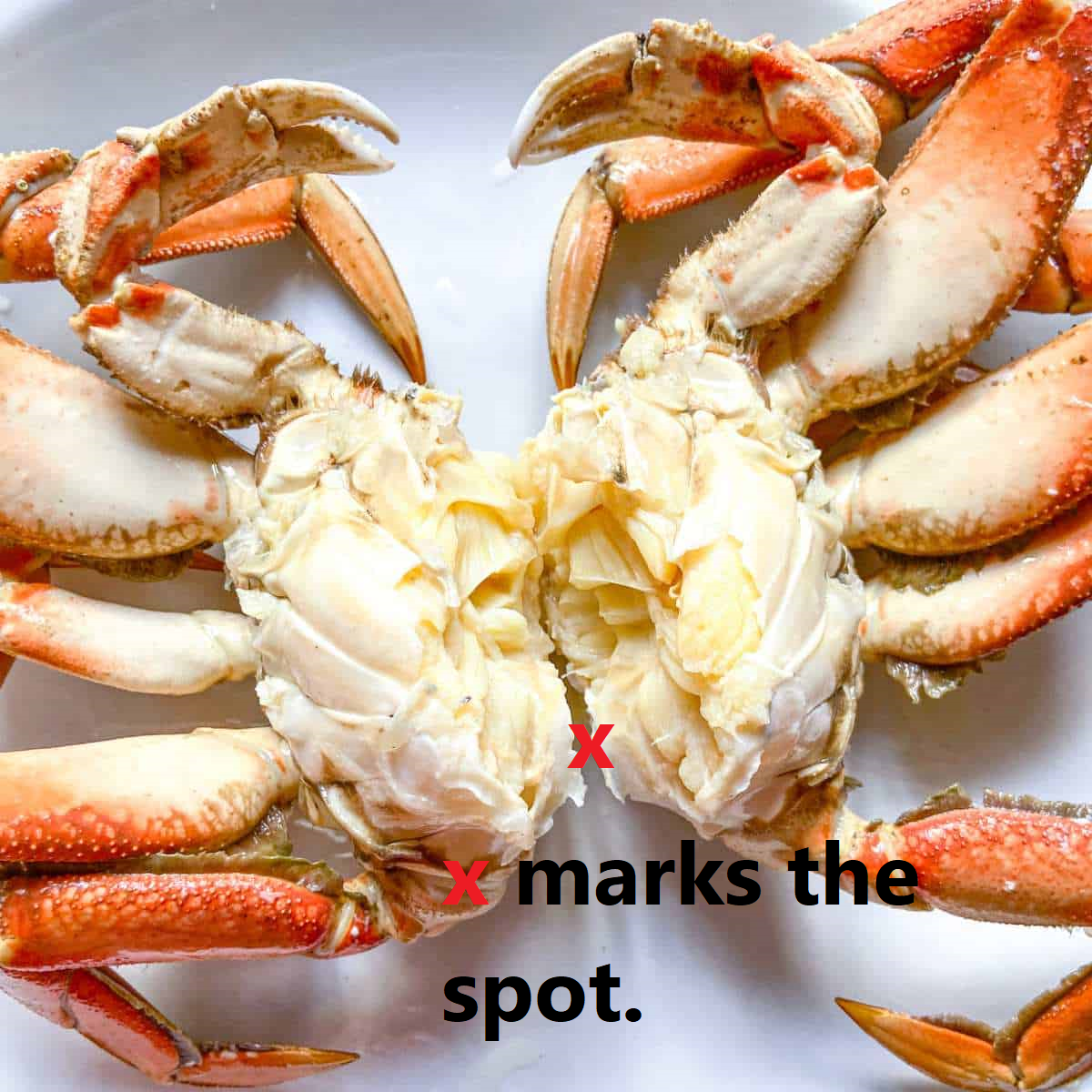 SDIYBT crab game by TheOfficialSeamus