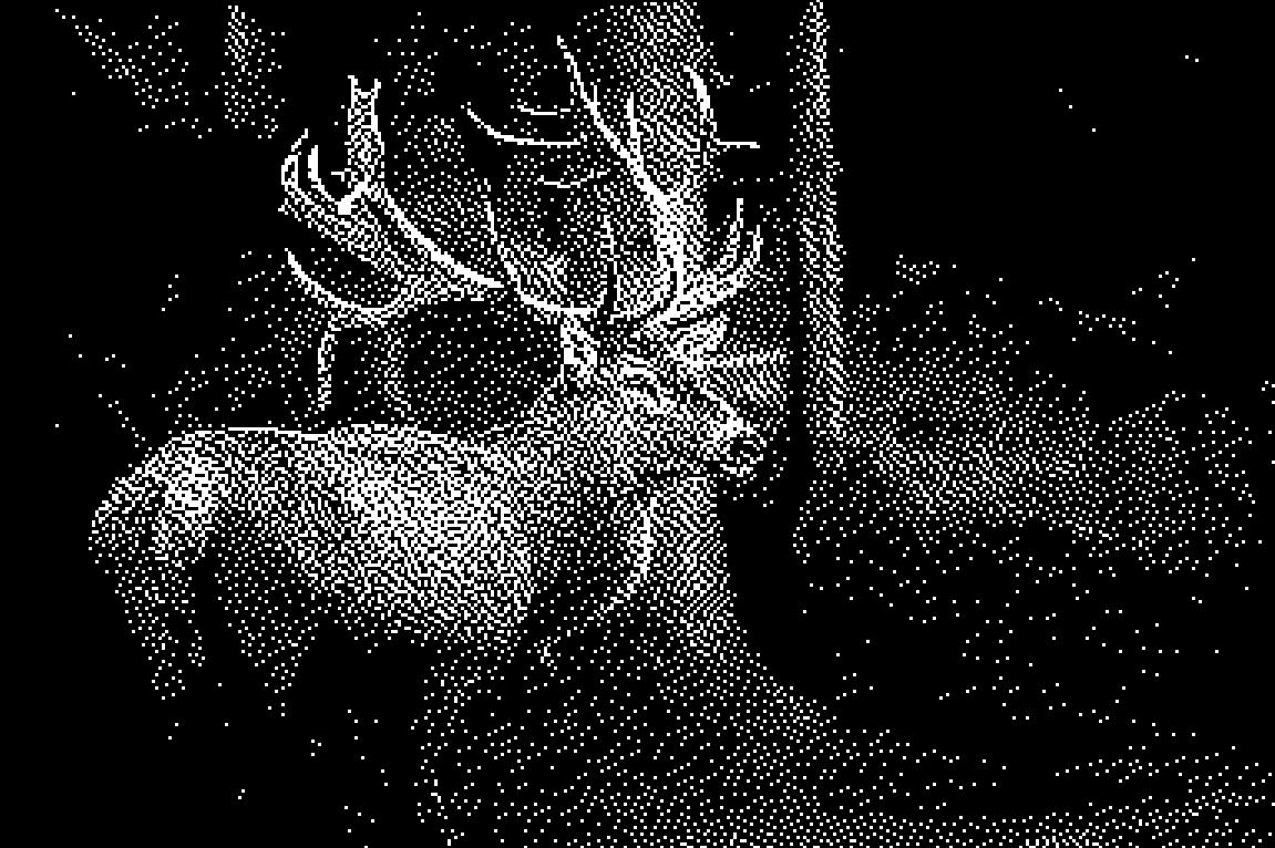 Cover image for And like a deer in the headlights, I meet my fate