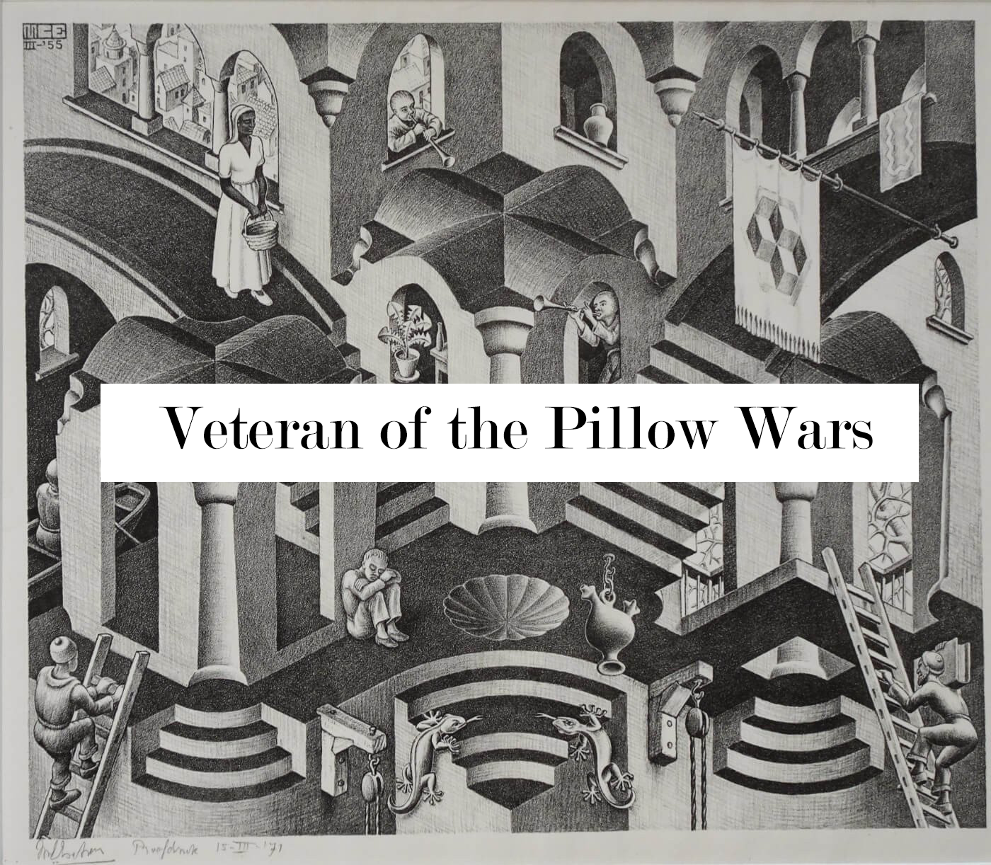 Veteran of the Pillow Wars