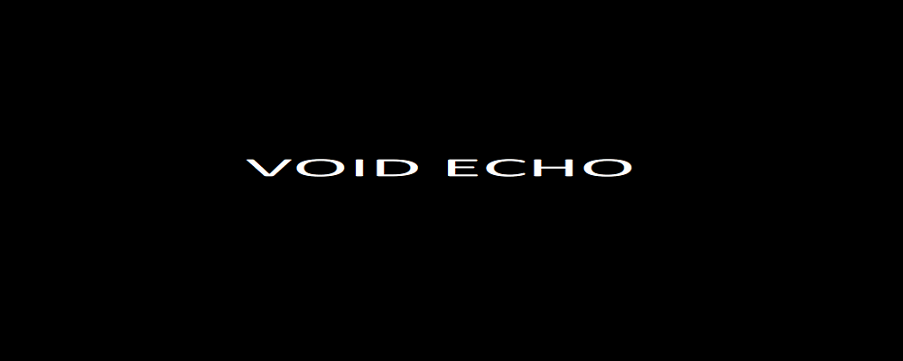 Void Echo