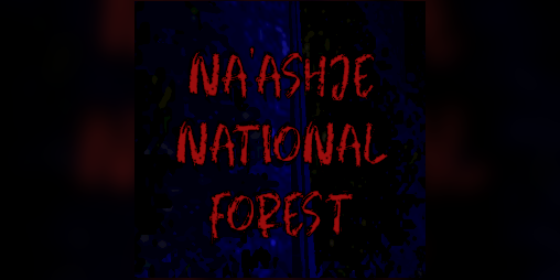Cover image for Na'Ashje National Forest