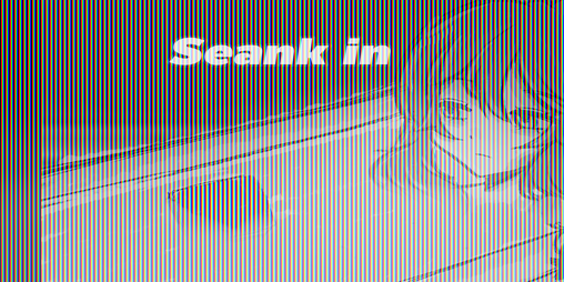 Cover image for Seank In
