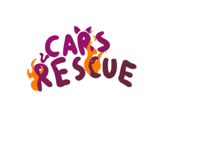 Cover image for Cars Rescue