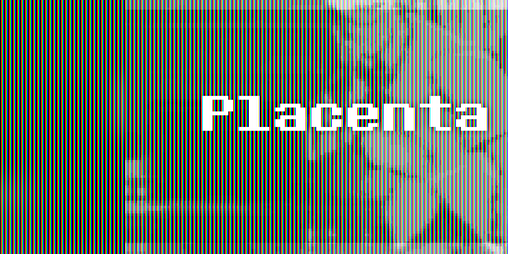 Cover image for Placenta (Demo)