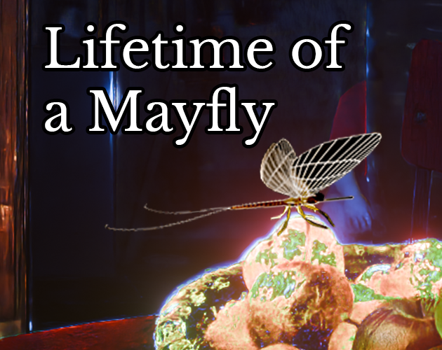 Cover image for Lifetime of a Mayfly