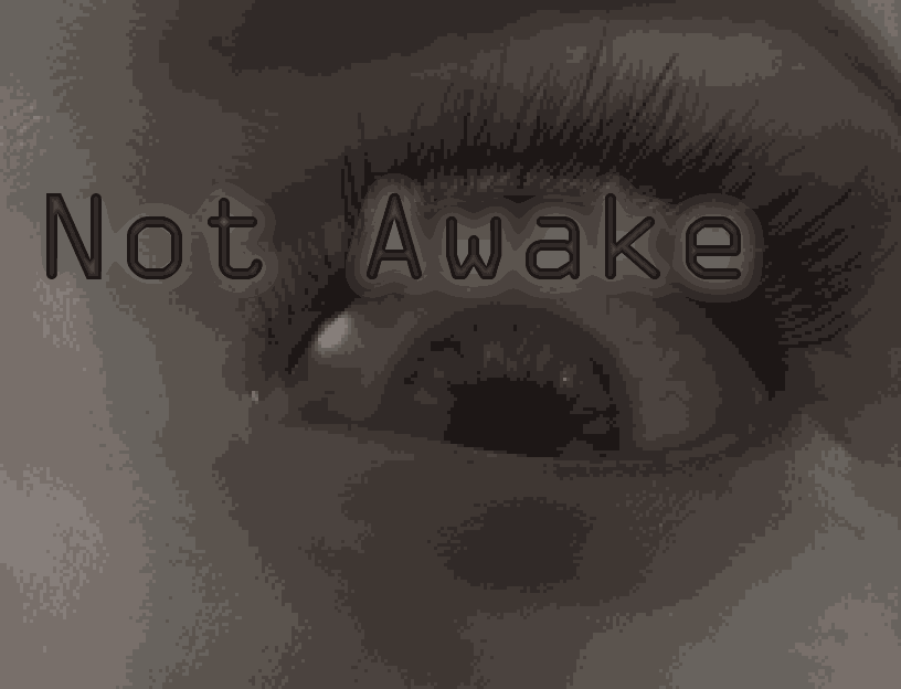 Cover image for Not Awake